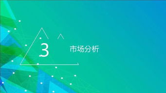 社汇news 一份广告投放策划完整模板